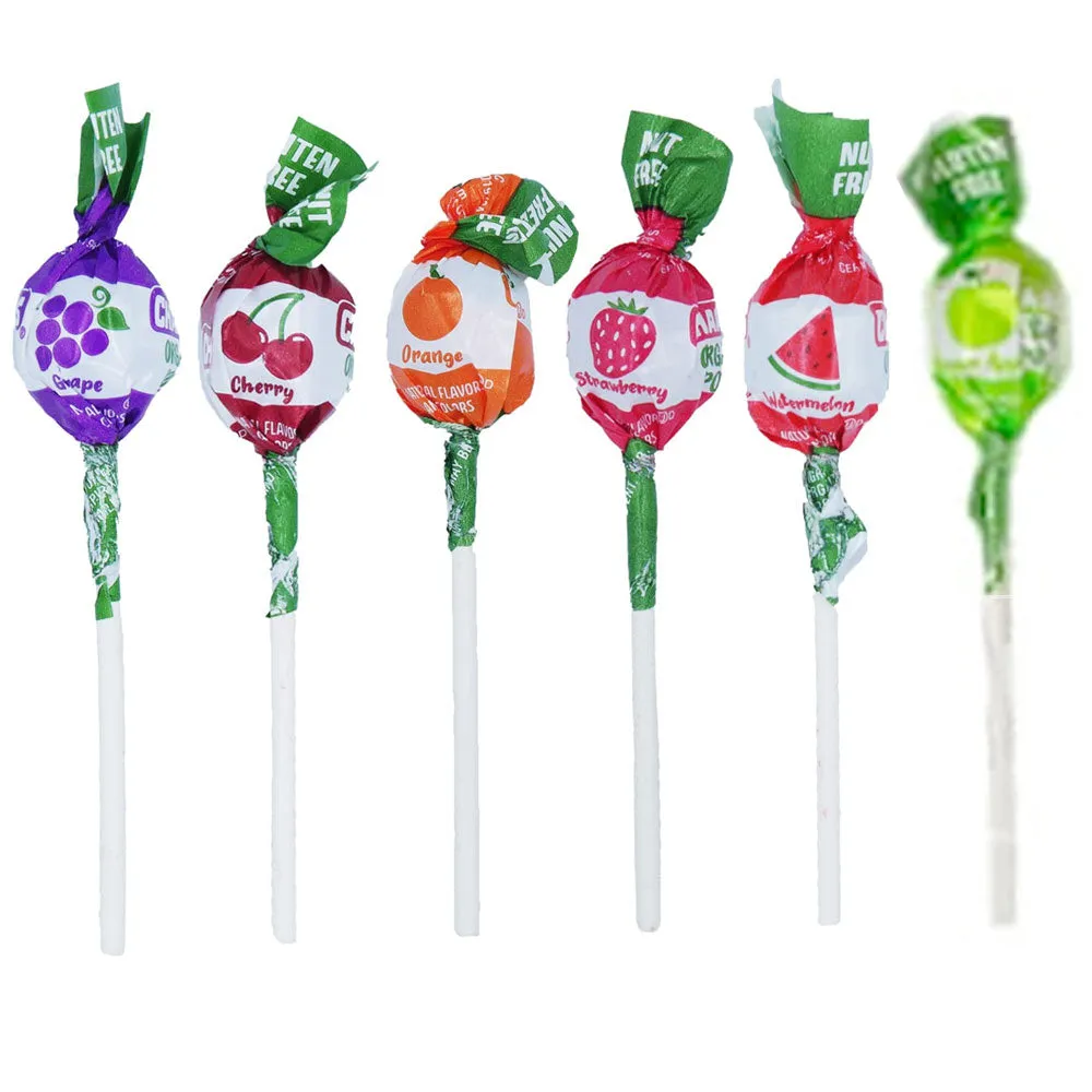 100 Charms Organic Pops Natural Flavors Vegan Lollipop Sucker Candy Gluten Free