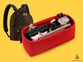 Backpack Organizer For Louis Vuitton Palm Springs PM