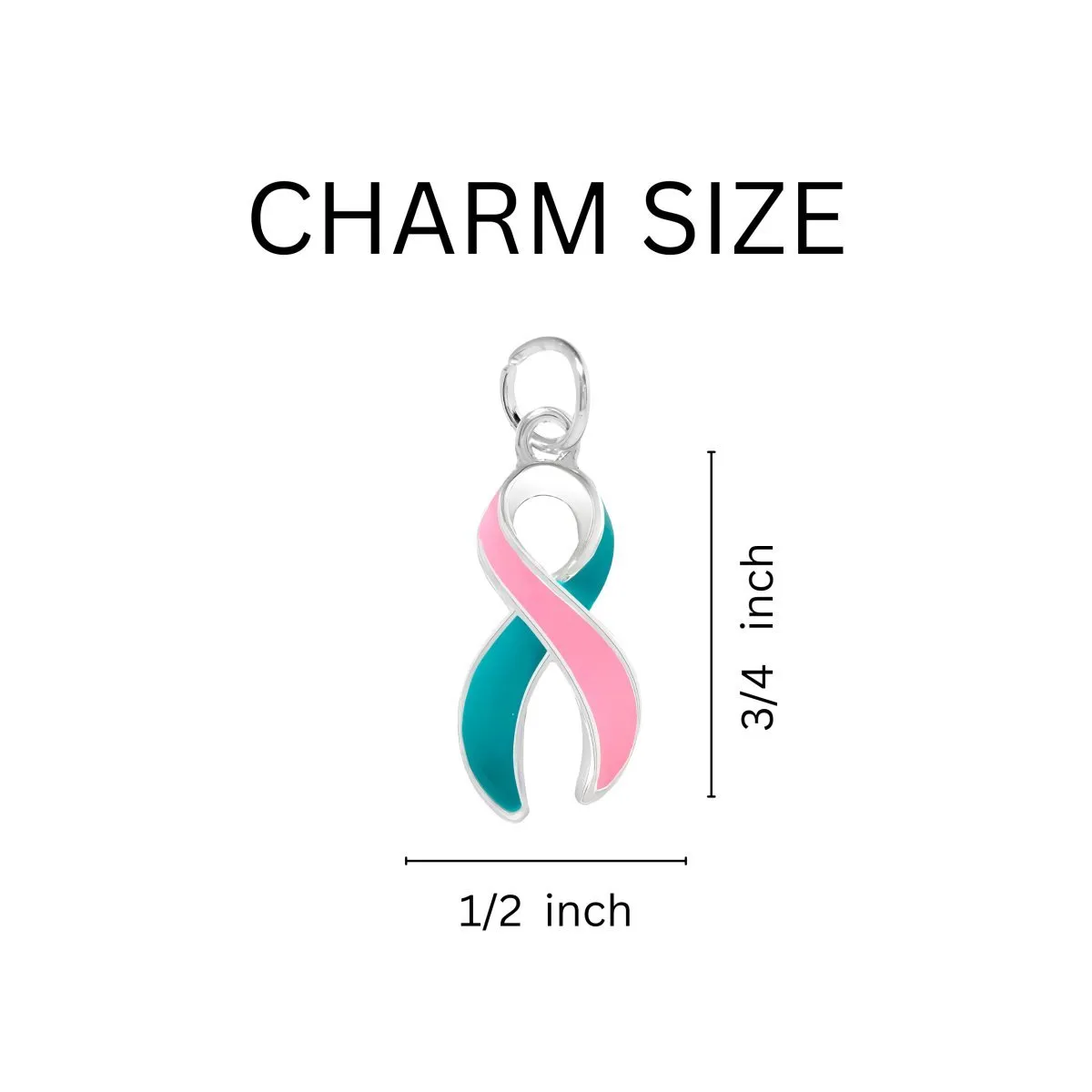 Big Heart Pink & Teal Ribbon Key Chains