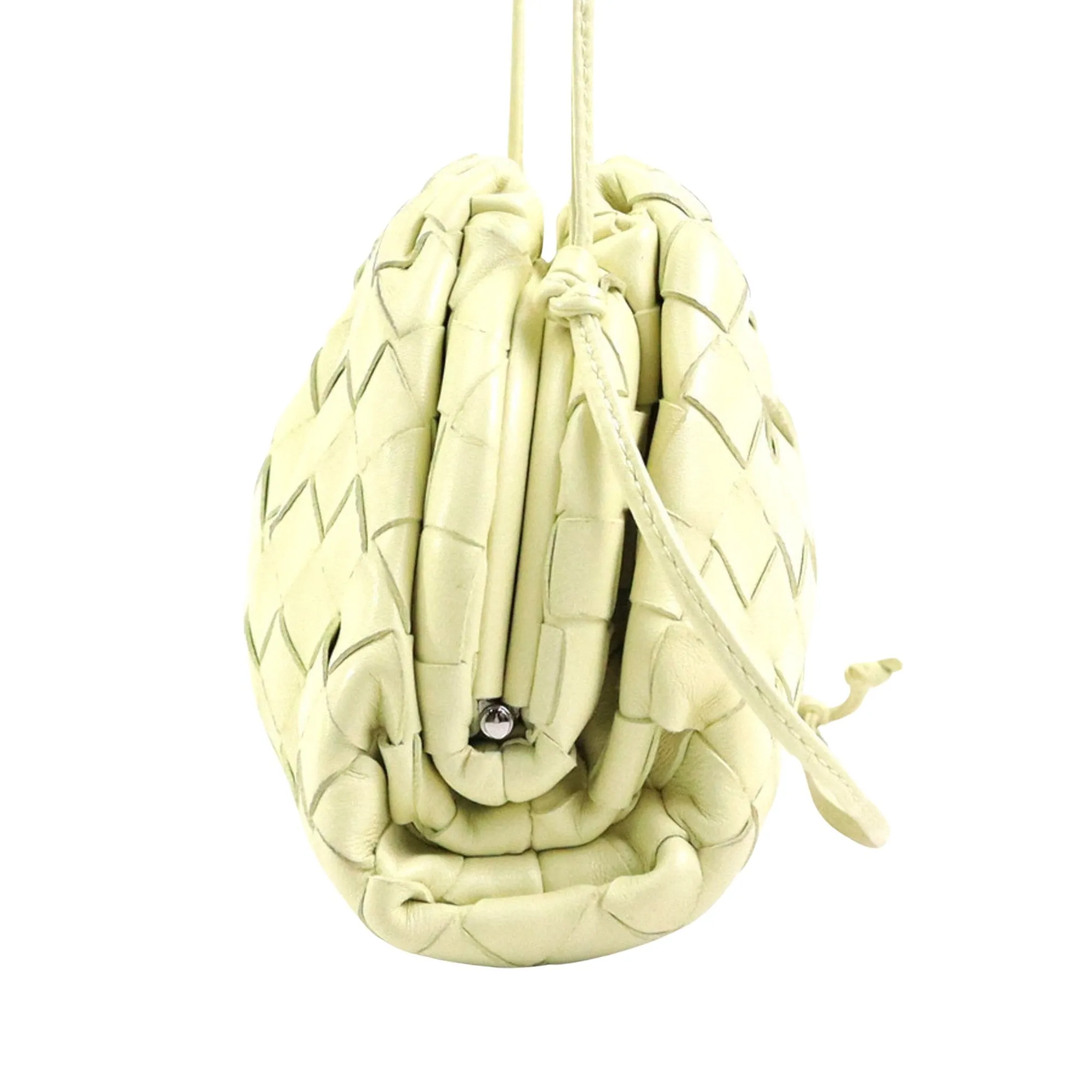 Bottega Veneta The pouch