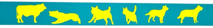 Collar & Ruff Print Collars - Breed