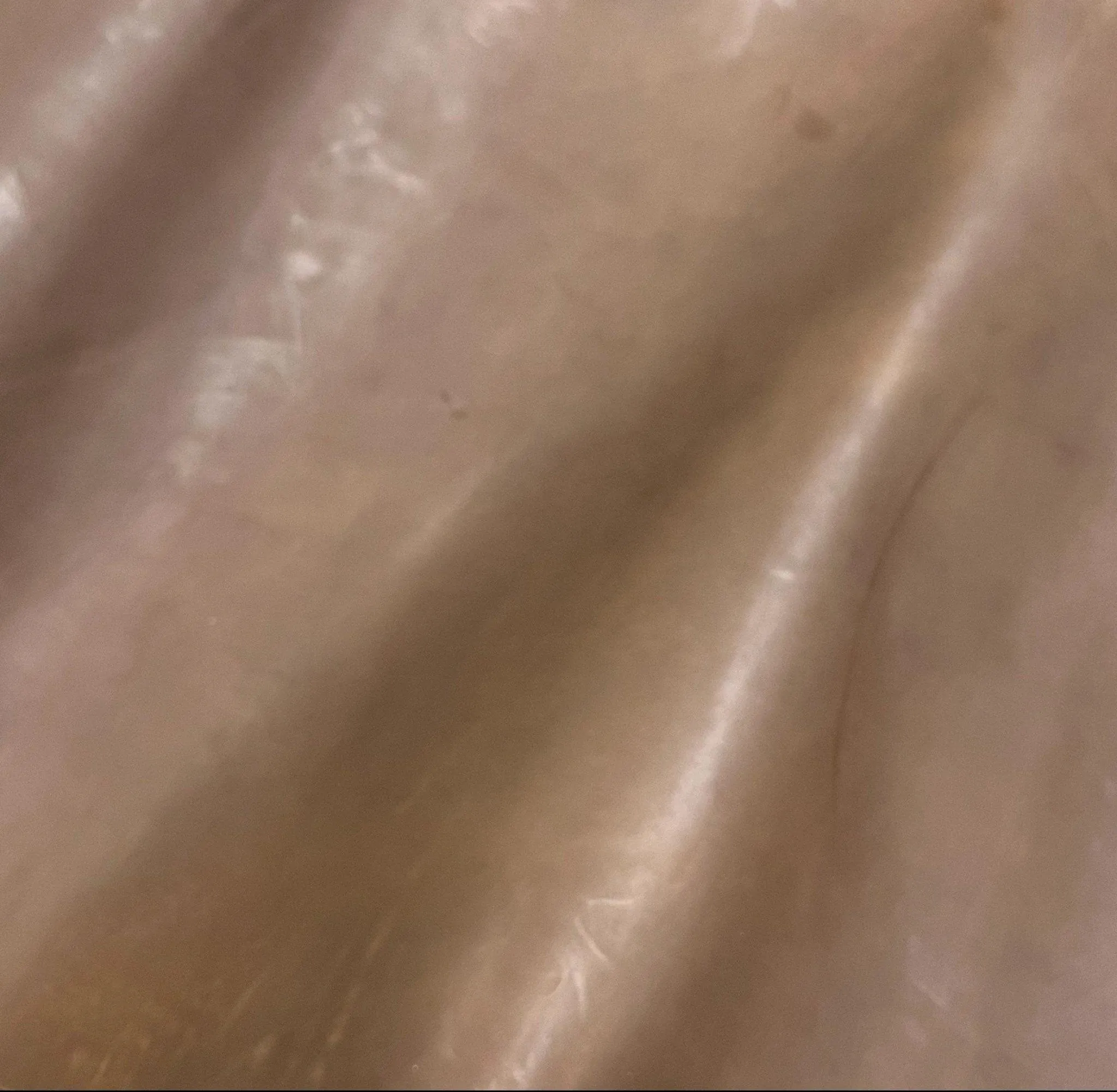 Crazy Horse Luggage Leather