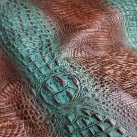 Croc Turquoise Spine Embossed Leather