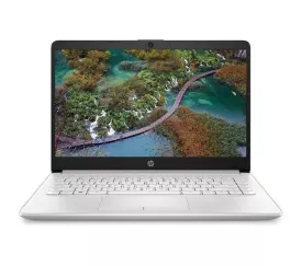 HP 14-cf2517sa Laptop - Intel Pentium Gold 6405U, 4GB RAM, 128GB SSD, Silver