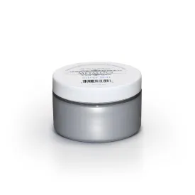 Metallic Paint - Silver Star